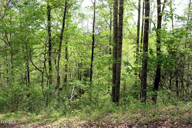 2193 Burem Road, Rogersville, TN 37857