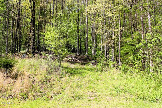 2193 Burem Road, Rogersville, TN 37857