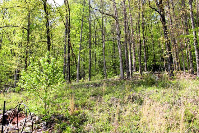 2193 Burem Road, Rogersville, TN 37857