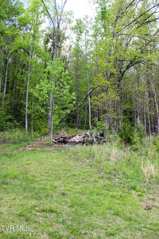 2193 Burem Road, Rogersville, TN 37857