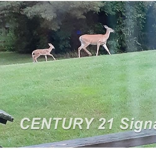 1162 E Farrand Road, Clio, MI 48420