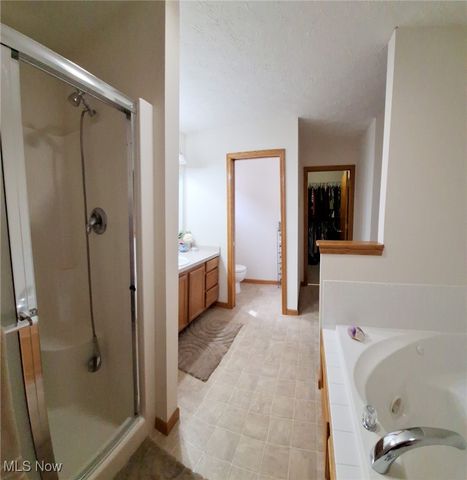 5355 Coventry Park Lane, Medina, OH 44256