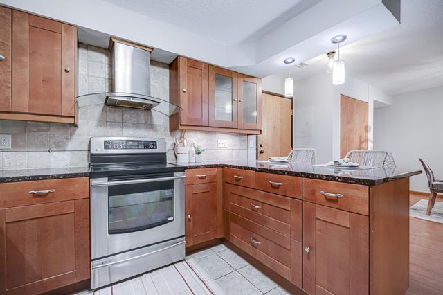 232 W Franklin Avenue 303, Minneapolis, MN 55404