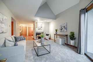 232 W Franklin Avenue 303, Minneapolis, MN 55404