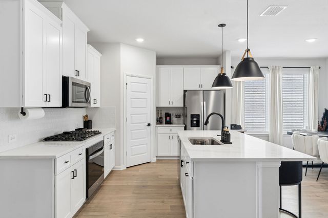 4121 Blackbird Avenue, Little Elm, TX 75068