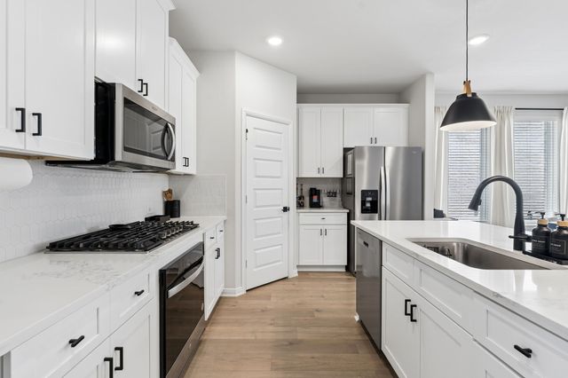 4121 Blackbird Avenue, Little Elm, TX 75068