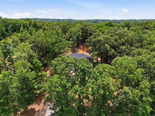 10 Christina Way, Conway, AR 72032