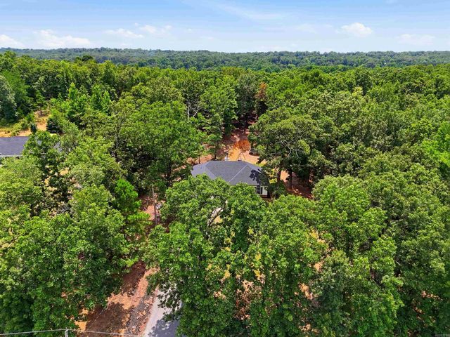 10 Christina Way, Conway, AR 72032