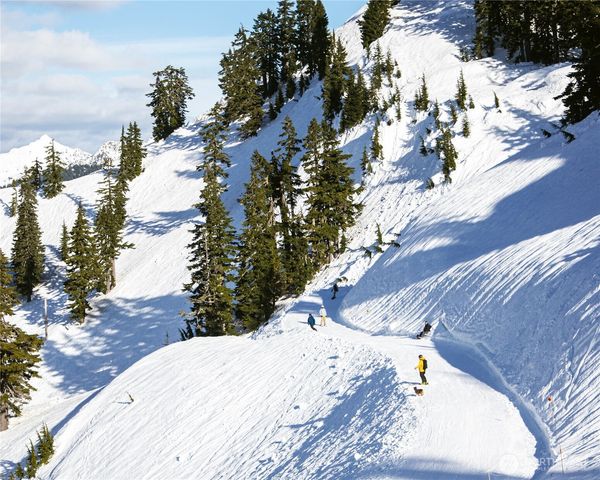 7911 Oregon Trail, Maple Falls, WA 98266