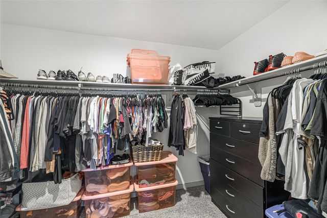 246 Dusty Bridle Lane, Rosharon, TX 77583