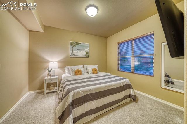 5019 Petrified Forest Trail, Colorado Springs, CO 80924