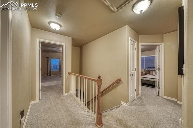 5019 Petrified Forest Trail, Colorado Springs, CO 80924