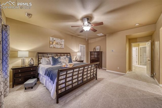 5019 Petrified Forest Trail, Colorado Springs, CO 80924