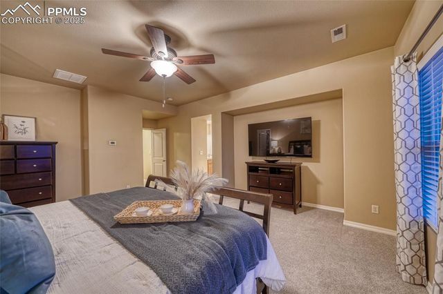 5019 Petrified Forest Trail, Colorado Springs, CO 80924