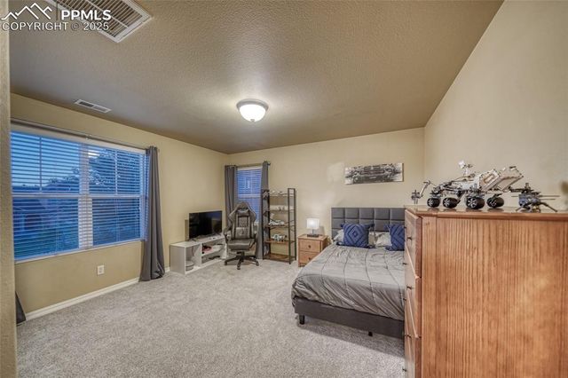 5019 Petrified Forest Trail, Colorado Springs, CO 80924