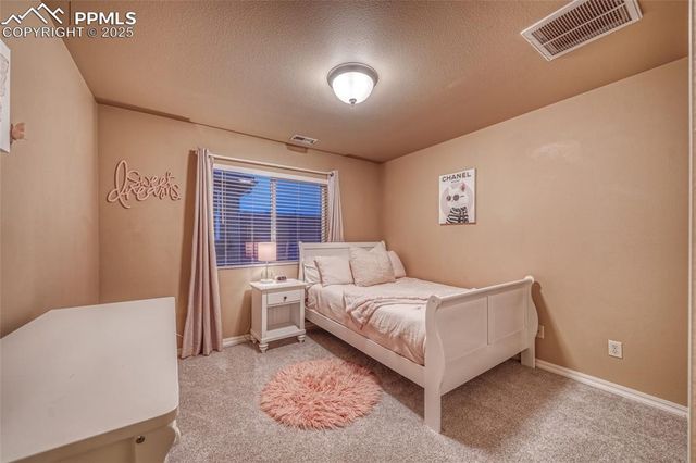 5019 Petrified Forest Trail, Colorado Springs, CO 80924