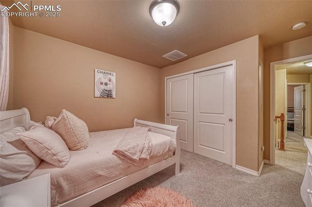 5019 Petrified Forest Trail, Colorado Springs, CO 80924