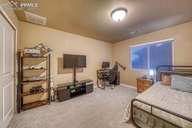 5019 Petrified Forest Trail, Colorado Springs, CO 80924