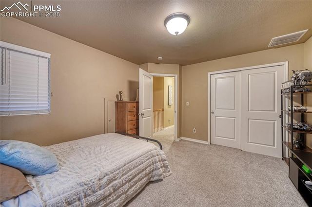 5019 Petrified Forest Trail, Colorado Springs, CO 80924