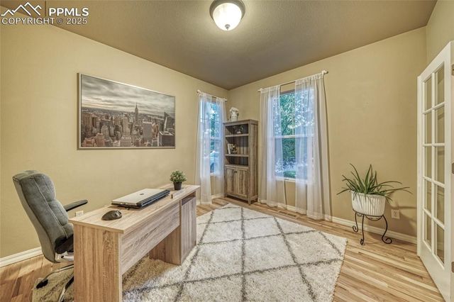 5019 Petrified Forest Trail, Colorado Springs, CO 80924