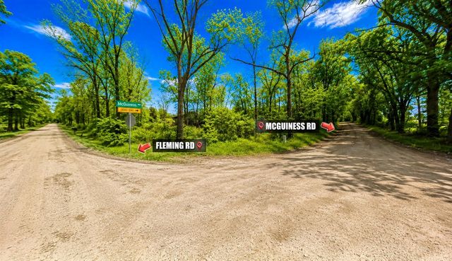 VL Mcguiness Road, Dexter, MI 48130