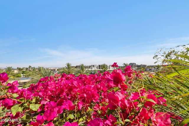 7157 E RANCHO VISTA Drive 5006, Scottsdale, AZ 85251