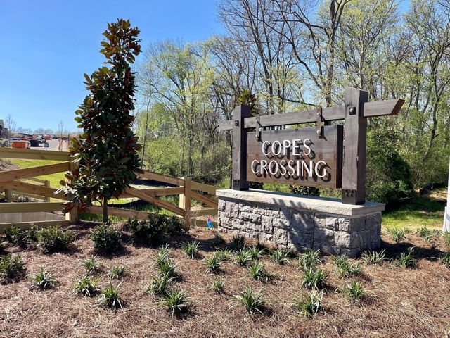 252 Brook Ave, White House, TN 37188