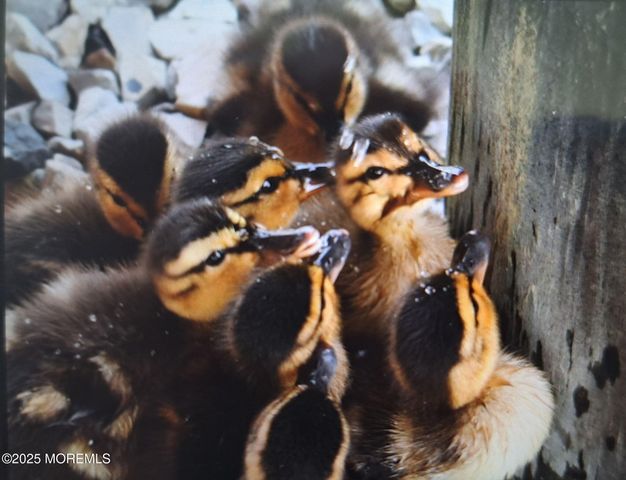 54 Beach Avenue, Bayville, NJ 08721