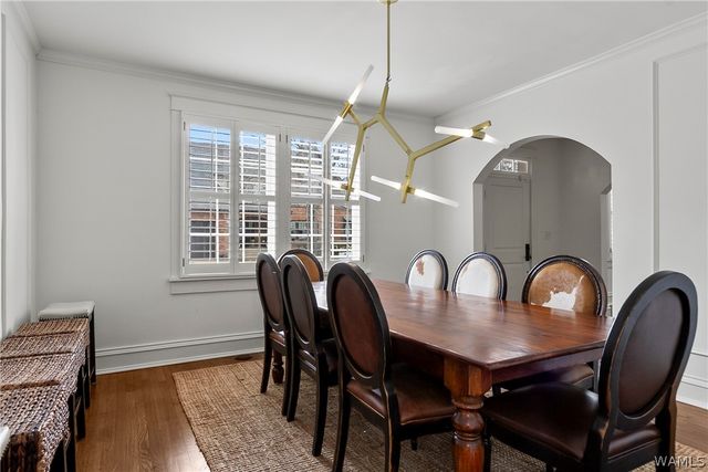 36 Audubon, Tuscaloosa, AL 35401