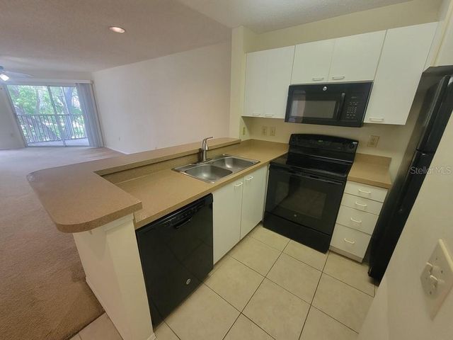 10024 STRAFFORD OAK COURT 813, Tampa, FL 33624