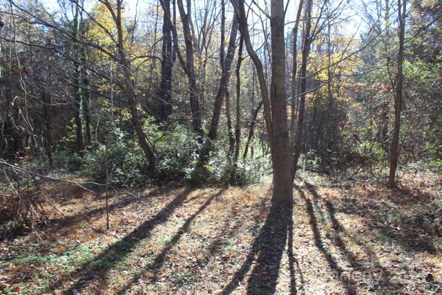 0 Bell Farm Road, Statesville, NC 28625