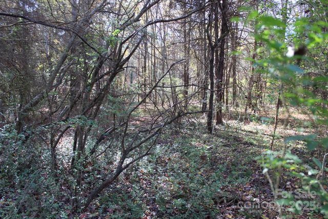 0 Bell Farm Road, Statesville, NC 28625