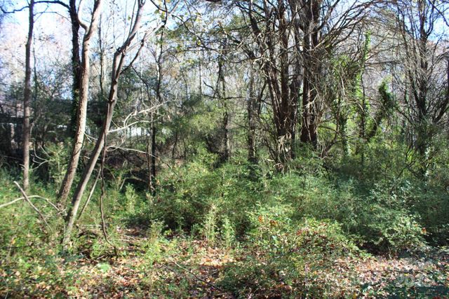 0 Bell Farm Road, Statesville, NC 28625