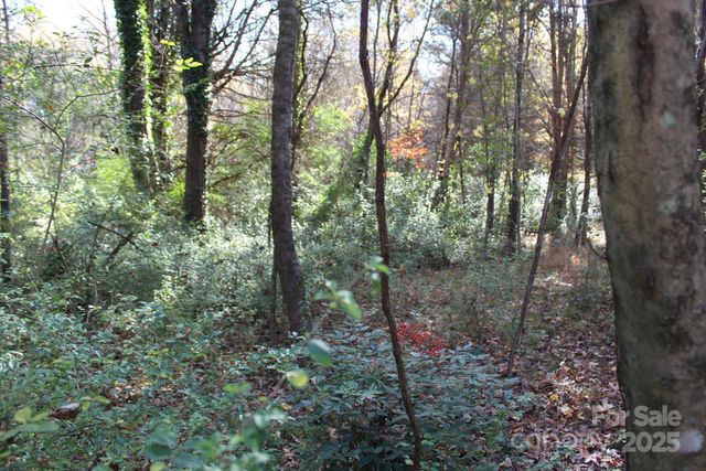 0 Bell Farm Road, Statesville, NC 28625