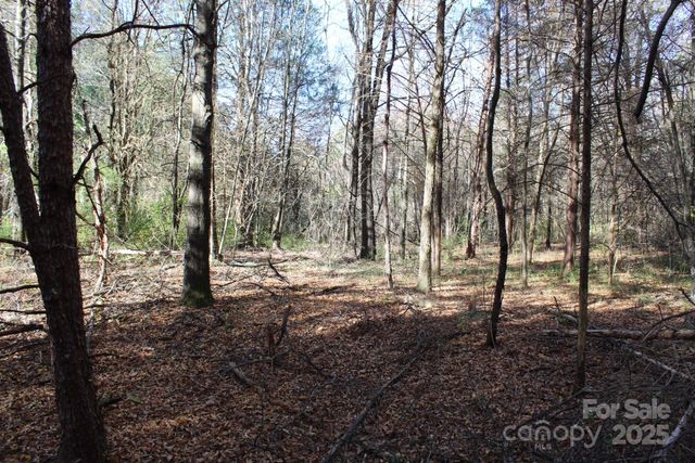 0 Bell Farm Road, Statesville, NC 28625