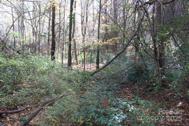 0 Bell Farm Road, Statesville, NC 28625