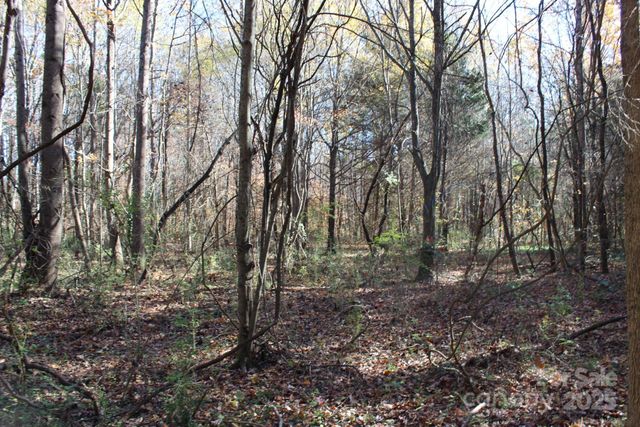 0 Bell Farm Road, Statesville, NC 28625