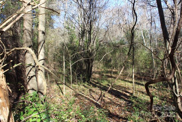 0 Bell Farm Road, Statesville, NC 28625