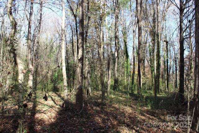 0 Bell Farm Road, Statesville, NC 28625