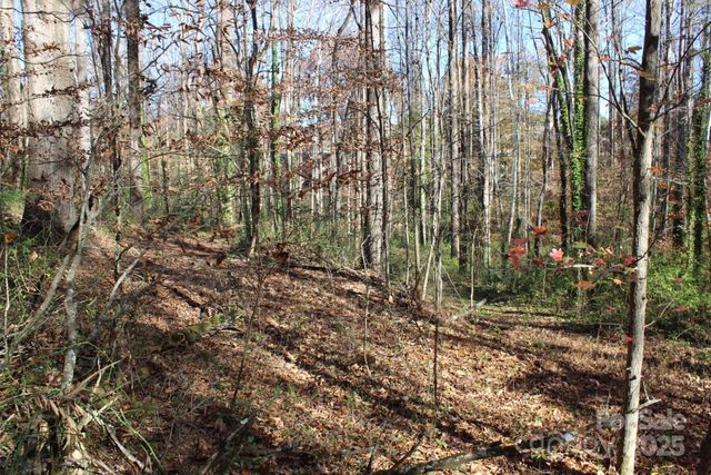 0 Bell Farm Road, Statesville, NC 28625