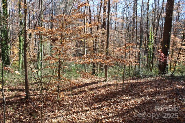 0 Bell Farm Road, Statesville, NC 28625