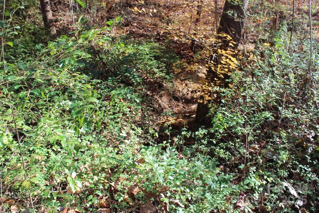 0 Bell Farm Road, Statesville, NC 28625