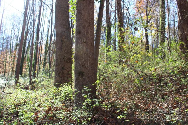 0 Bell Farm Road, Statesville, NC 28625