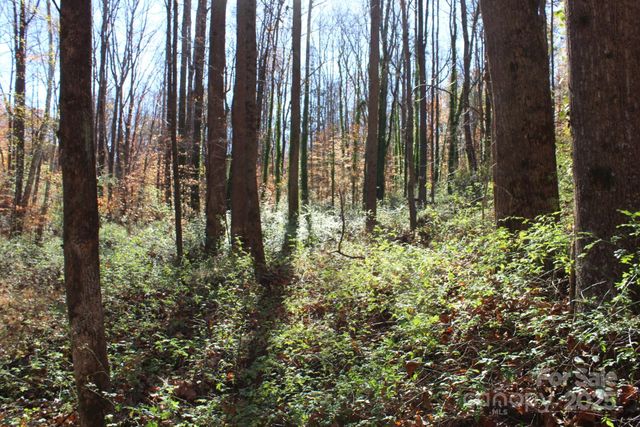 0 Bell Farm Road, Statesville, NC 28625