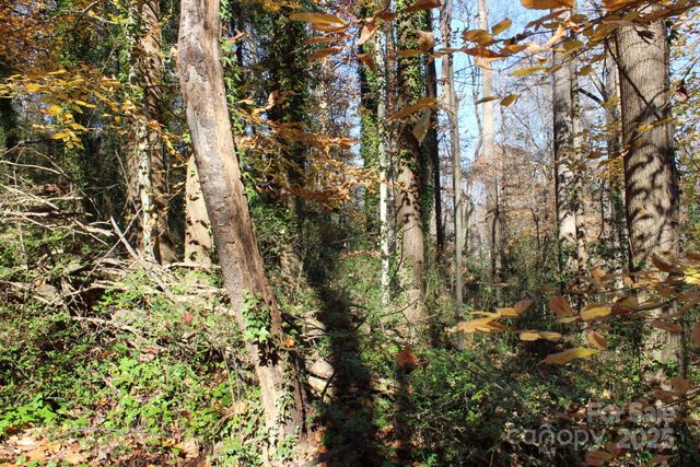 0 Bell Farm Road, Statesville, NC 28625