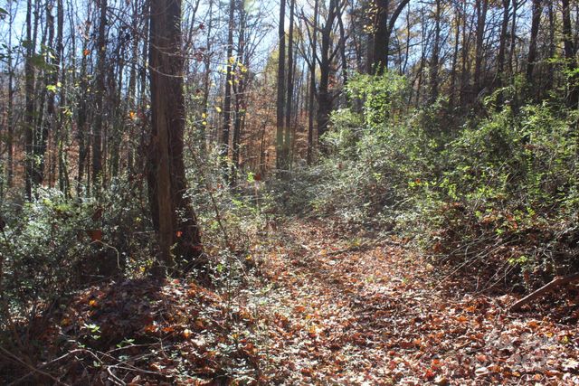 0 Bell Farm Road, Statesville, NC 28625