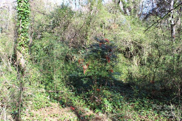 0 Bell Farm Road, Statesville, NC 28625