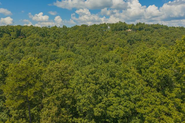 Lt 205&6 Harris Ridge Drive, Ellijay, GA 30540
