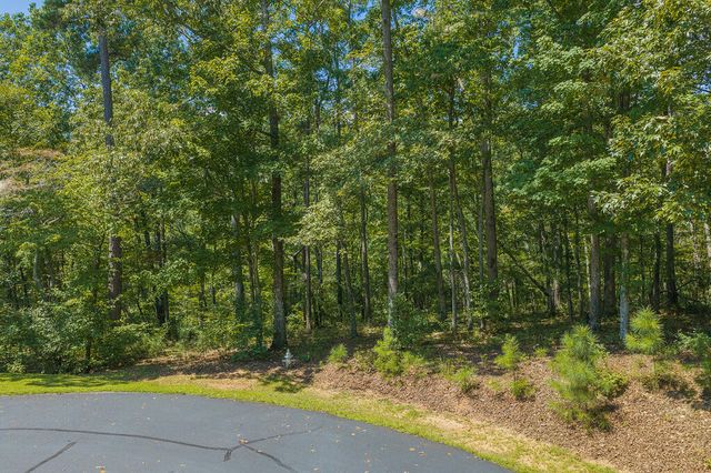 Lt 205&6 Harris Ridge Drive, Ellijay, GA 30540