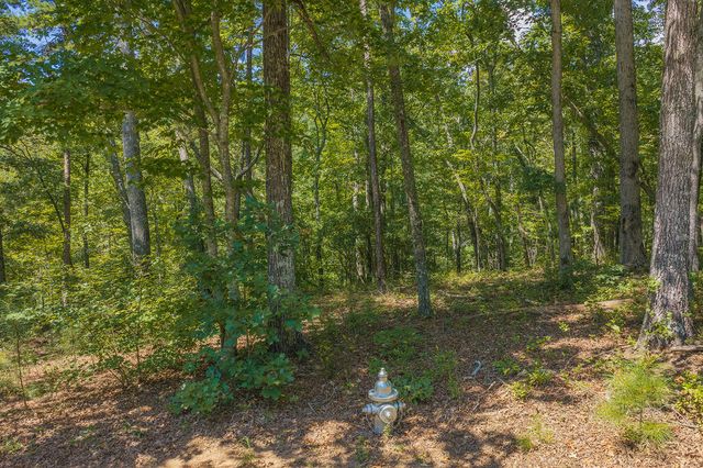 Lt 205&6 Harris Ridge Drive, Ellijay, GA 30540